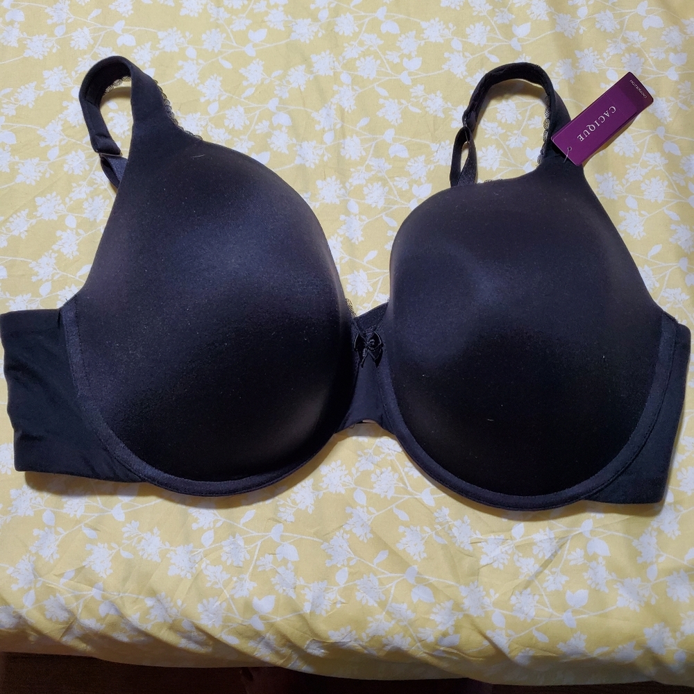 NWT Cacique Bra 44DD